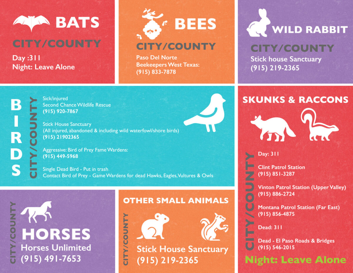 Report Pet Abuse Humane Society of El Paso