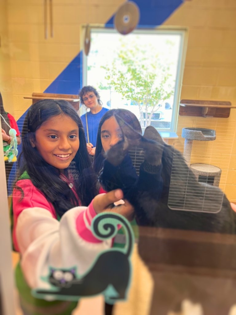 Paws N Action Photo 1