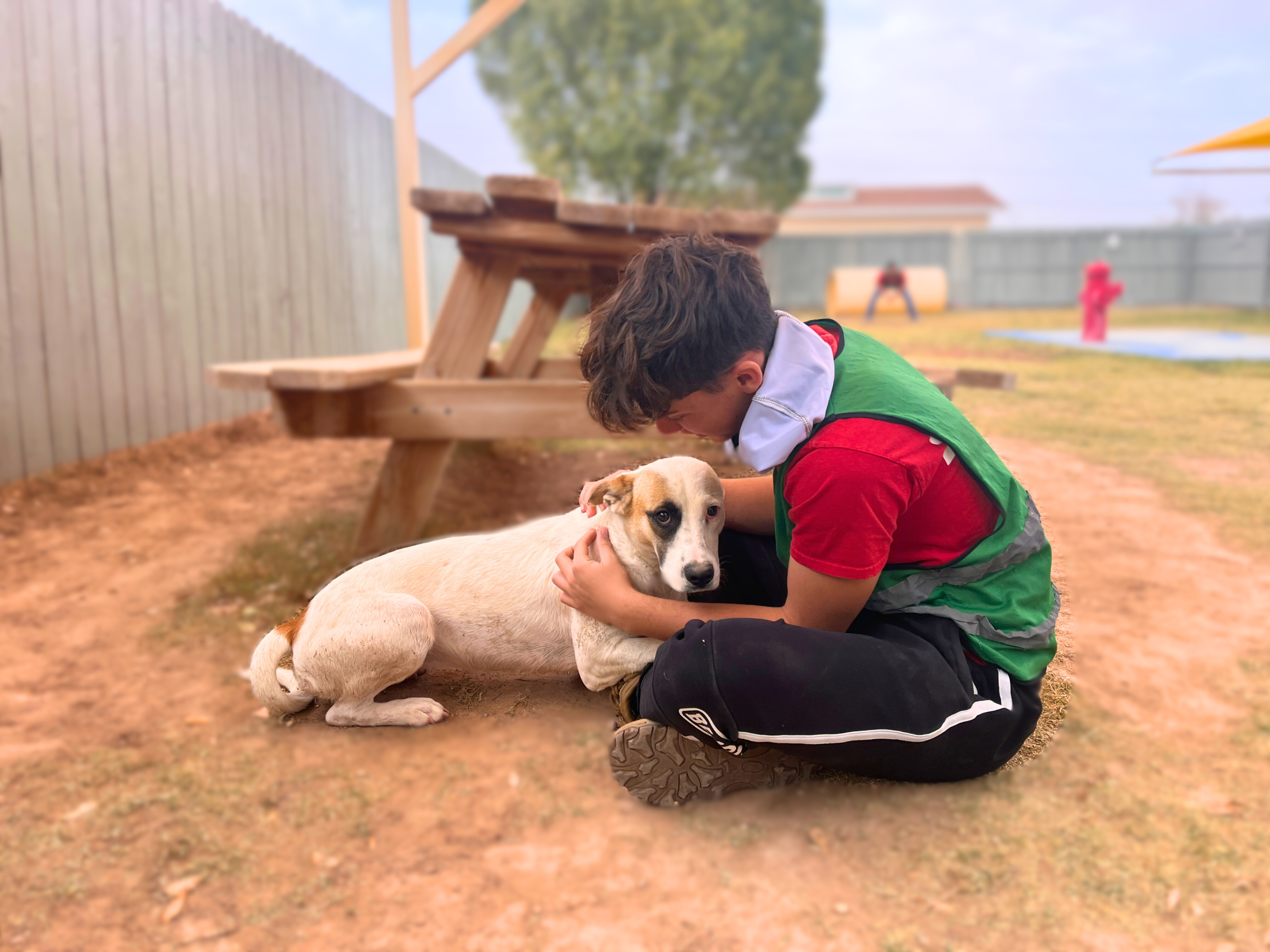 Paws n Action Photo 3